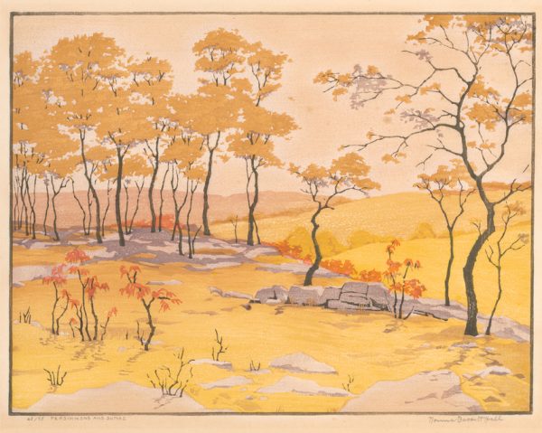 A creek runs from bottom right to center left. The landscape and trees are yellow with orange sumac.