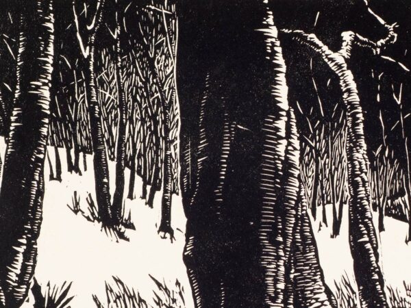Black and White print of trees on a hillside